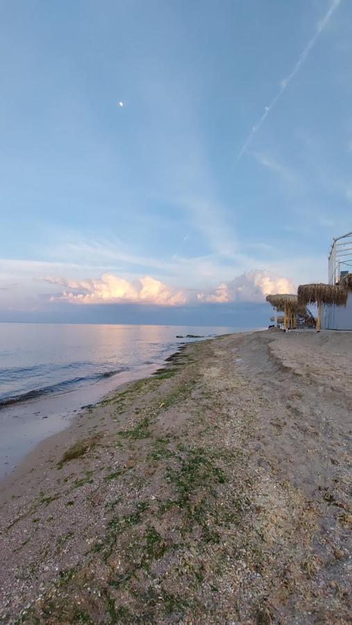 Casa IV Hotel Vama Veche Kültér fotó